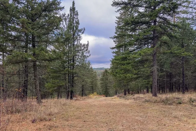 $575,000 | 0 North N Mount, Mead, WA 99021