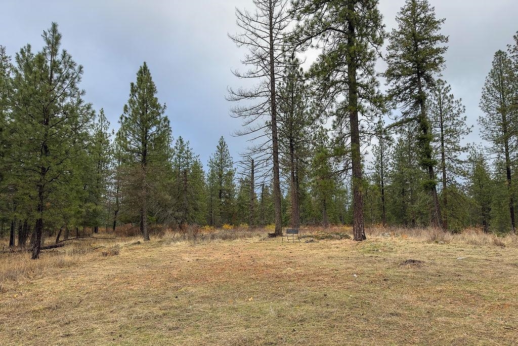0 North N Mount Mead, WA 99021 - Photo 15 of 25