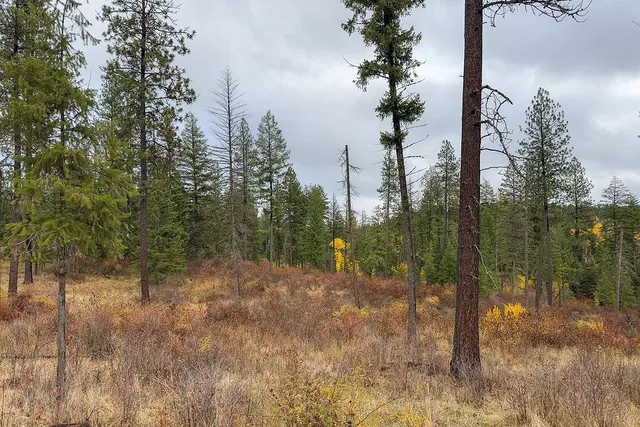 $575,000 | 0 North N Mount, Mead, WA 99021