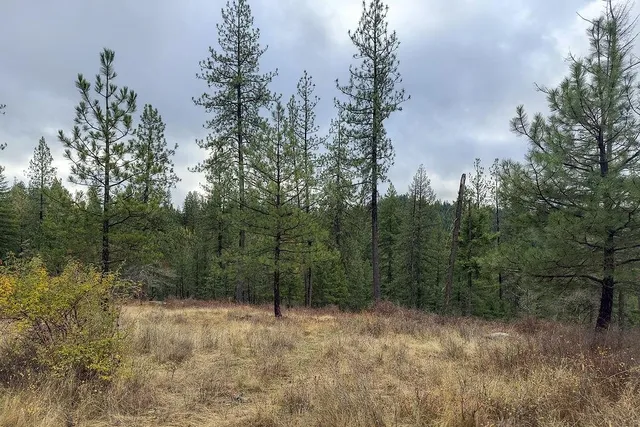 $575,000 | 0 North N Mount, Mead, WA 99021