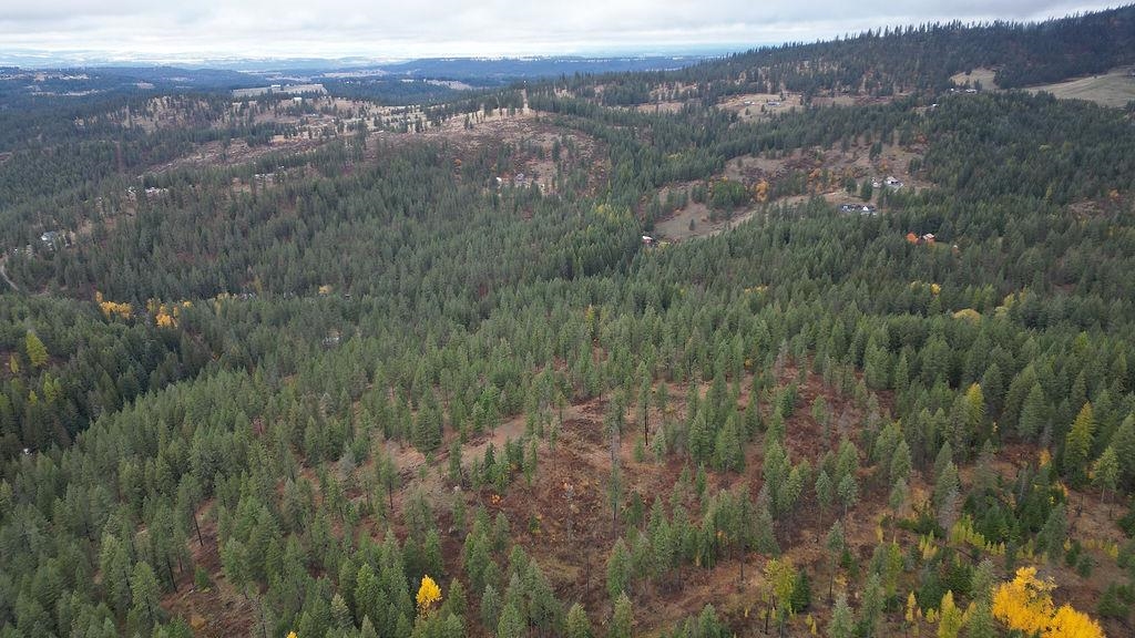 0 North N Mount Mead, WA 99021 - Photo 2 of 25