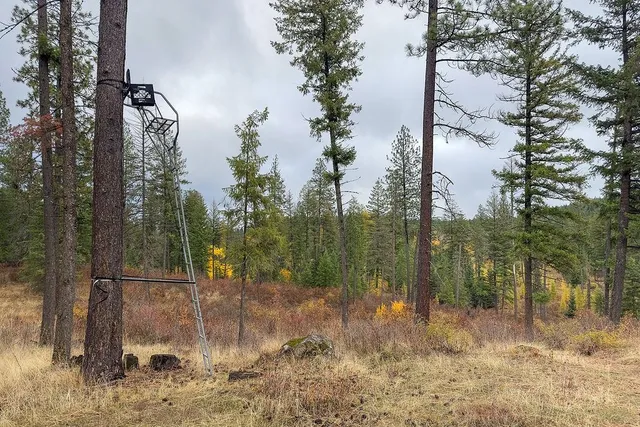 $575,000 | 0 North N Mount, Mead, WA 99021