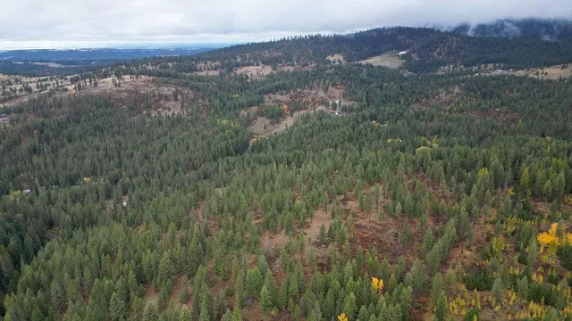 $575,000 | 0 North N Mount, Mead, WA 99021