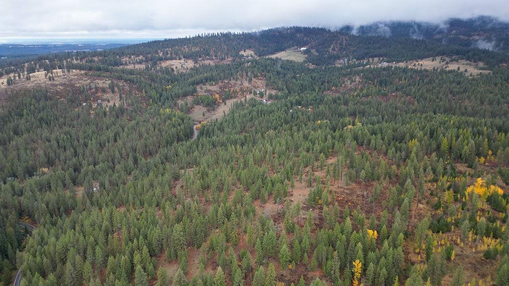 0 North N Mount Mead, WA 99021 - Photo 4 of 25