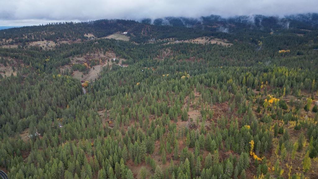 0 North N Mount Mead, WA 99021 - Photo 5 of 25