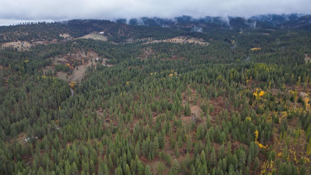 0 North N Mount Mead, WA 99021 - Photo 6 of 25