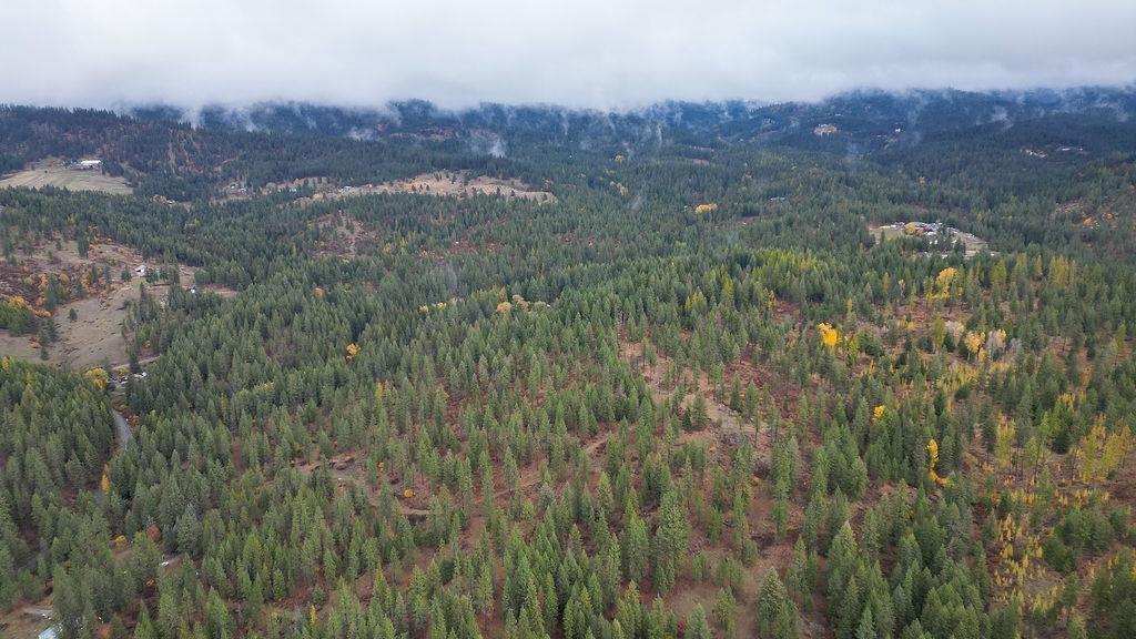 0 North N Mount Mead, WA 99021 - Photo 7 of 25