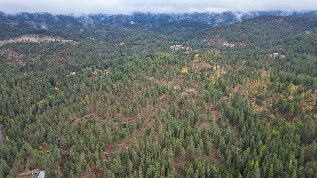 0 North N Mount Mead, WA 99021 - Photo 8 of 25