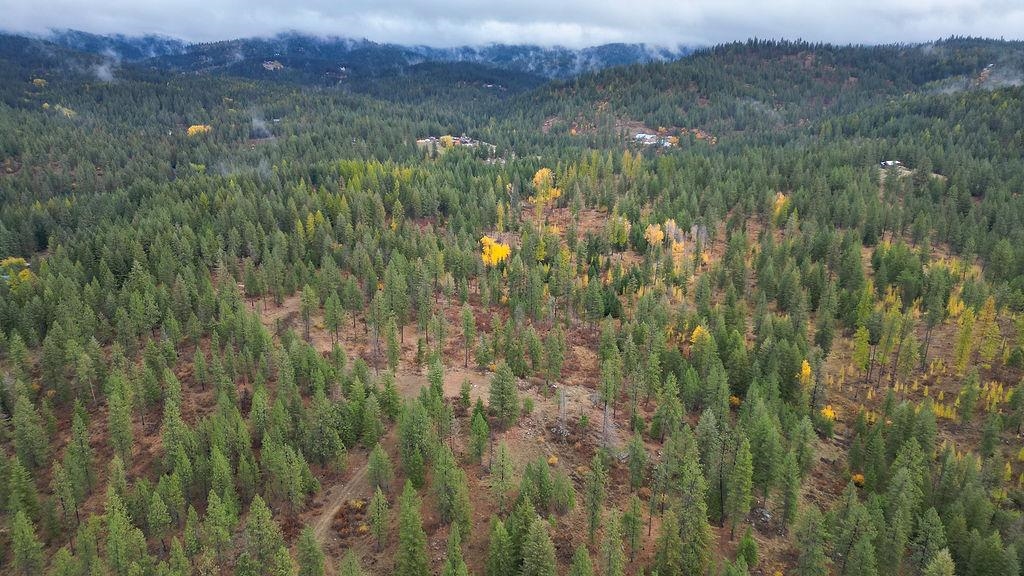 0 North N Mount Mead, WA 99021 - Photo 10 of 25