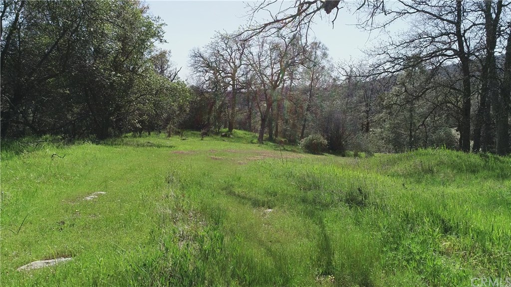 5318 Foran Road Mariposa, CA 95338 - Photo 1 of 1 Gallery Image 1