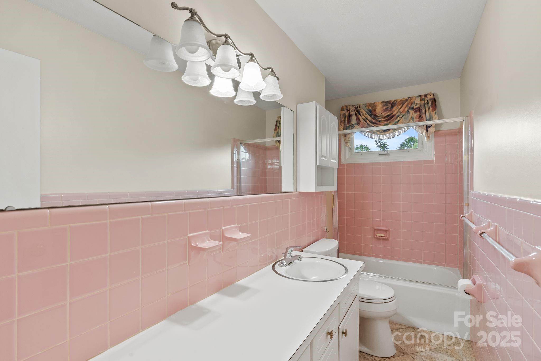 6693 Brevard Road Etowah, NC 28729 - Photo 30 of 42 a bathroom with a sink a toilet and shower