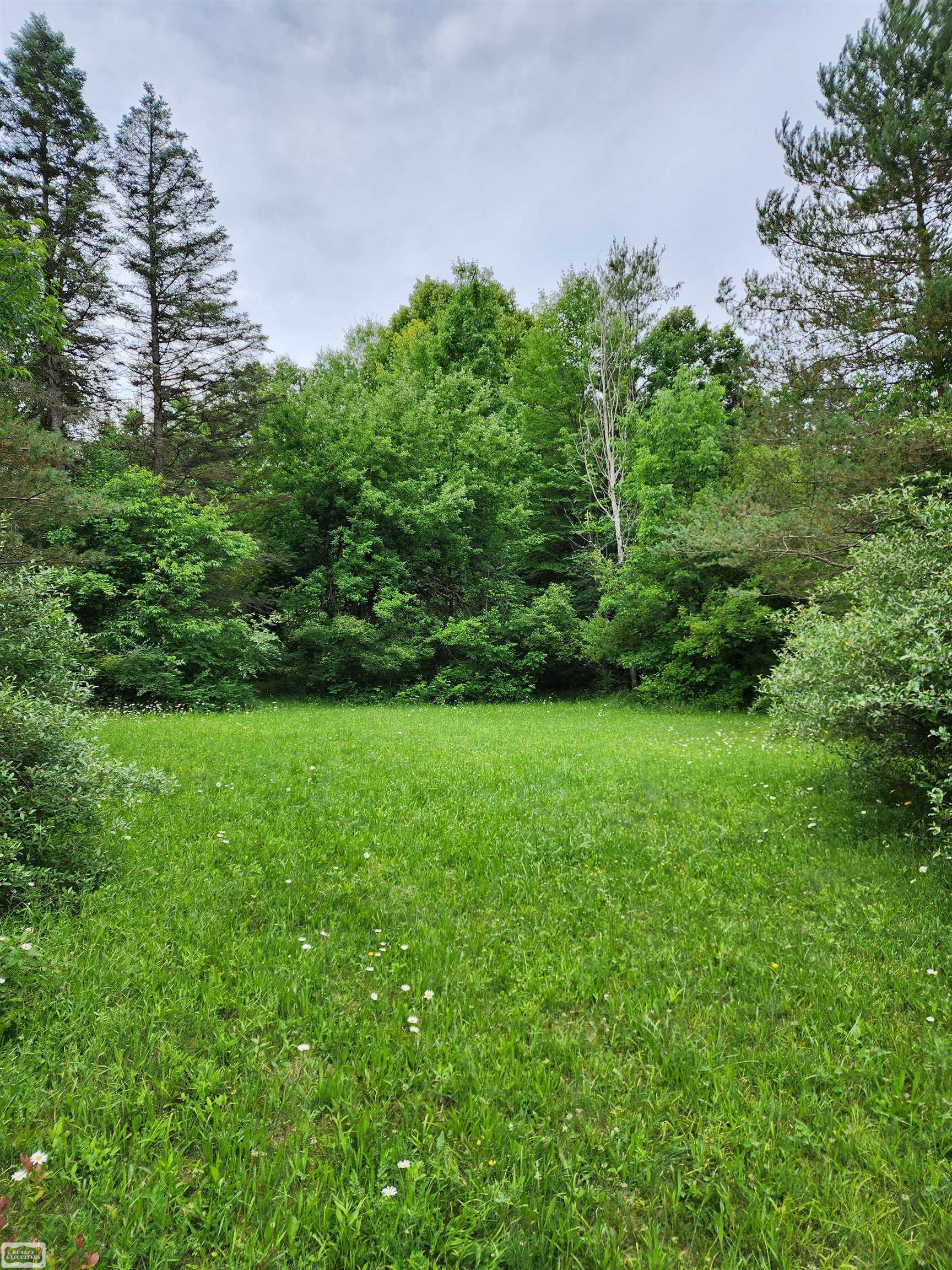 3734 Breen Road Emmett, MI 48022 - Photo 8 of 25 Gallery Image 8