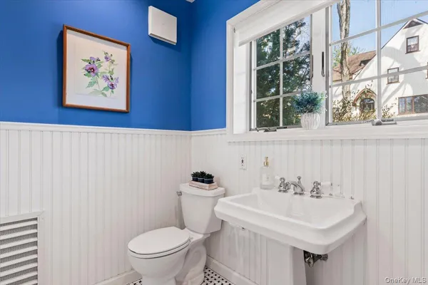 a bathroom with a sink and a toilet