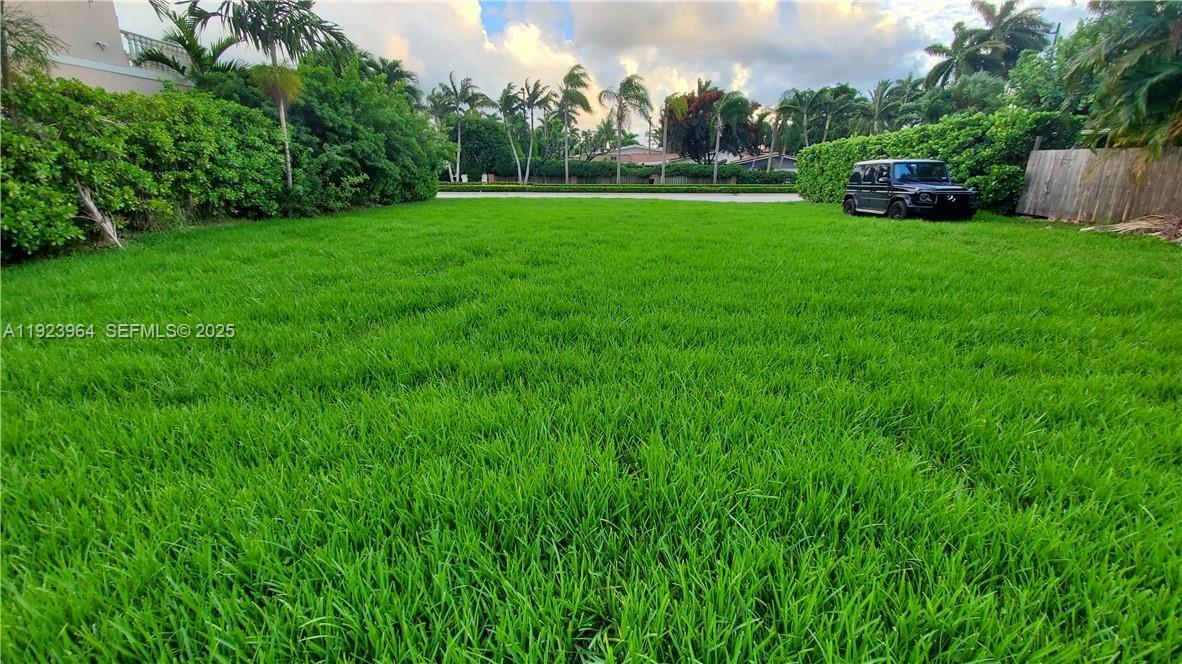 a view of garden with tall trees