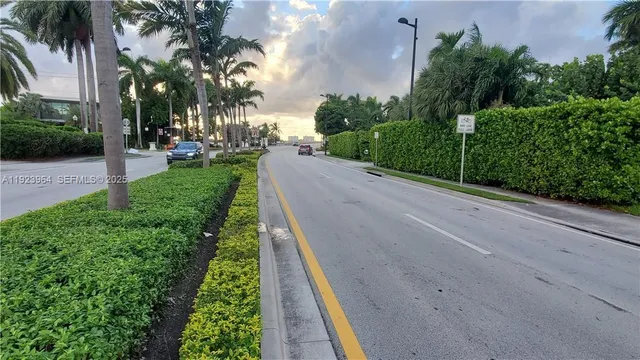 a view of a yard with palm trees