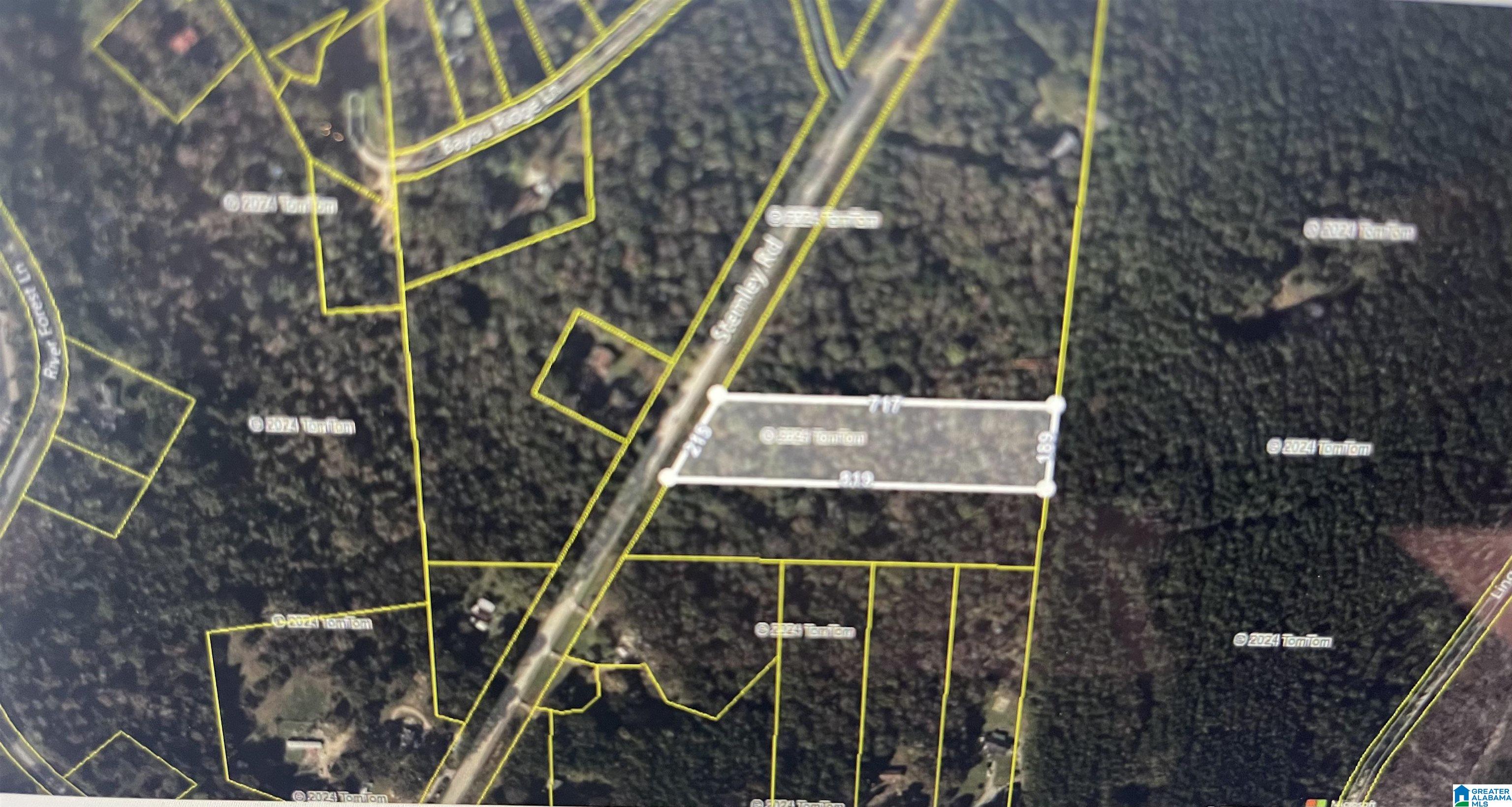 0 Stemley Road Talladega, AL 35160 - Photo 3 of 5