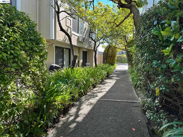 a view of a pathway both side of house