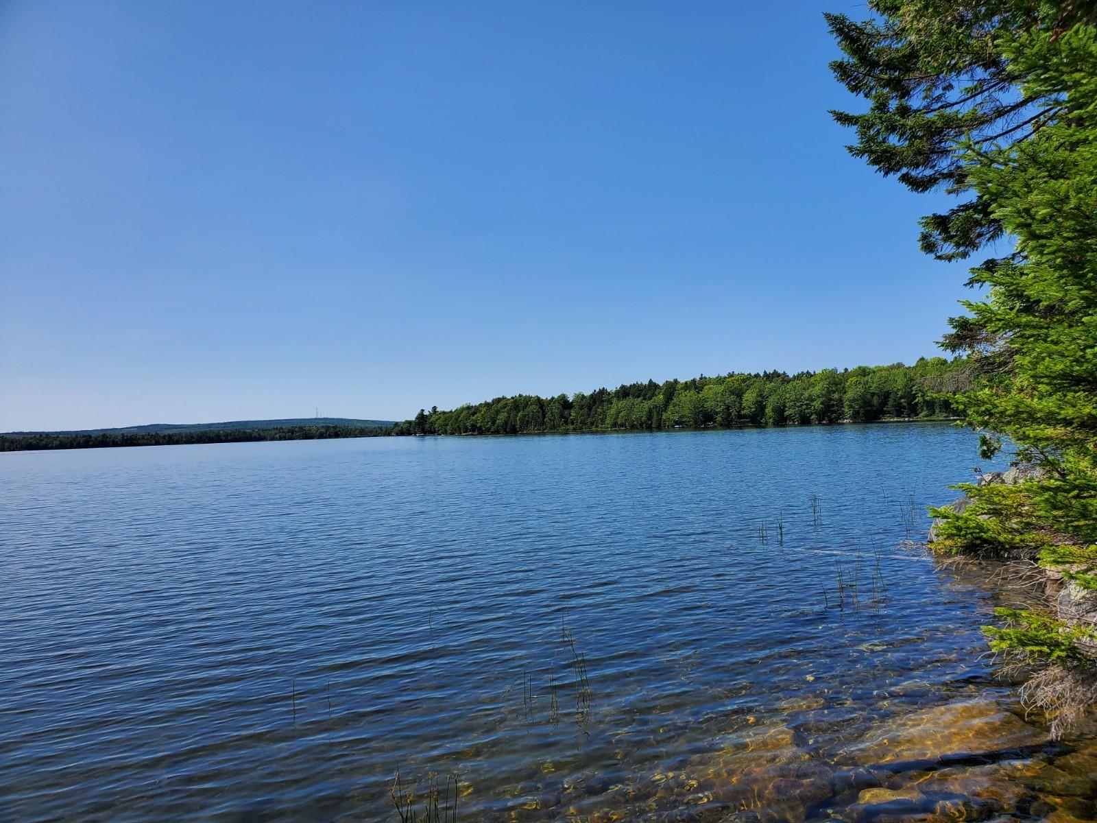 Lot 8 East Ridge Road Cooper, ME 04657 - Photo 6 of 14 20210816_141658