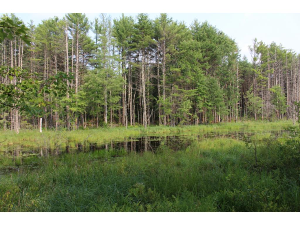 41 Old Sutton Road Bradford, NH 03221 - Photo 14 of 14 Gallery Image 14