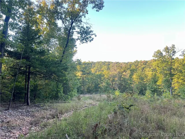 $199,000 | Tbd Ponder Slab Road, Iberia, MO 65486