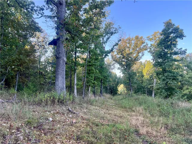 $199,000 | Tbd Ponder Slab Road, Iberia, MO 65486