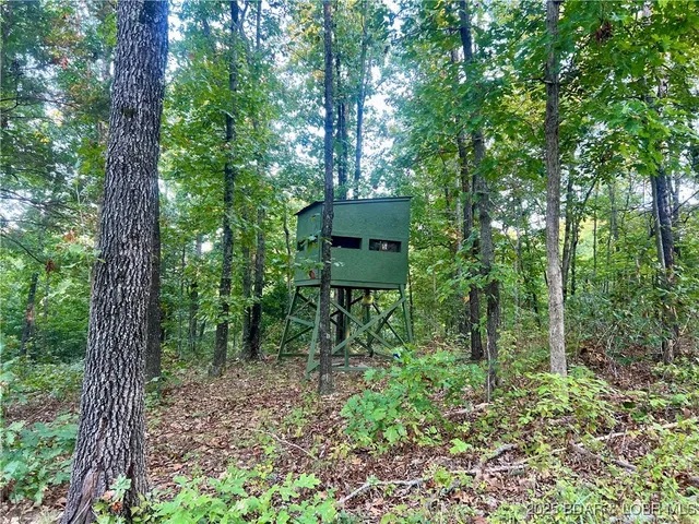 $199,000 | Tbd Ponder Slab Road, Iberia, MO 65486