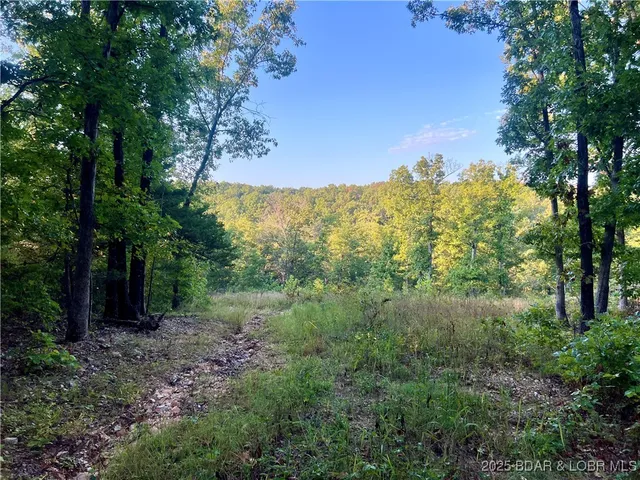 $199,000 | Tbd Ponder Slab Road, Iberia, MO 65486