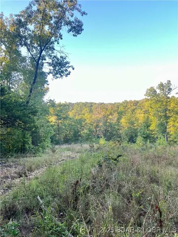 $199,000 | Tbd Ponder Slab Road, Iberia, MO 65486