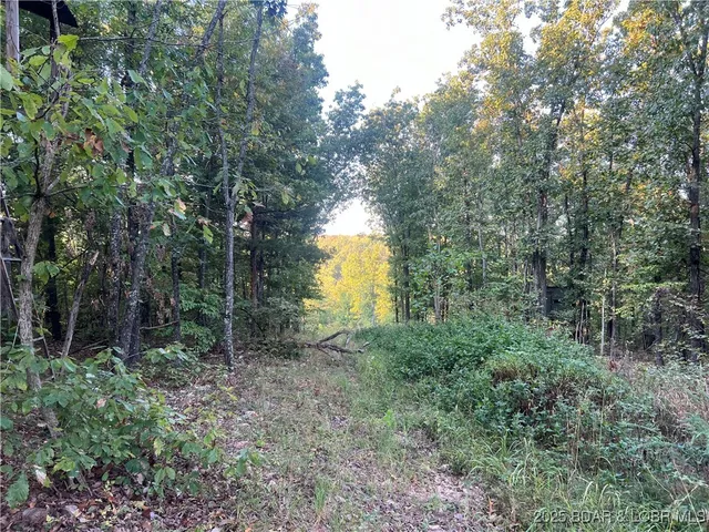 $199,000 | Tbd Ponder Slab Road, Iberia, MO 65486