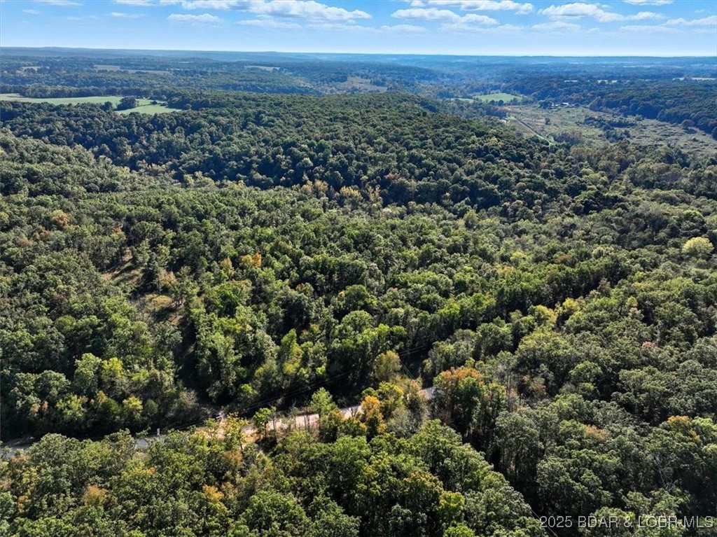 Tbd Ponder Slab Road Iberia, MO 65486 - Photo 16 of 18