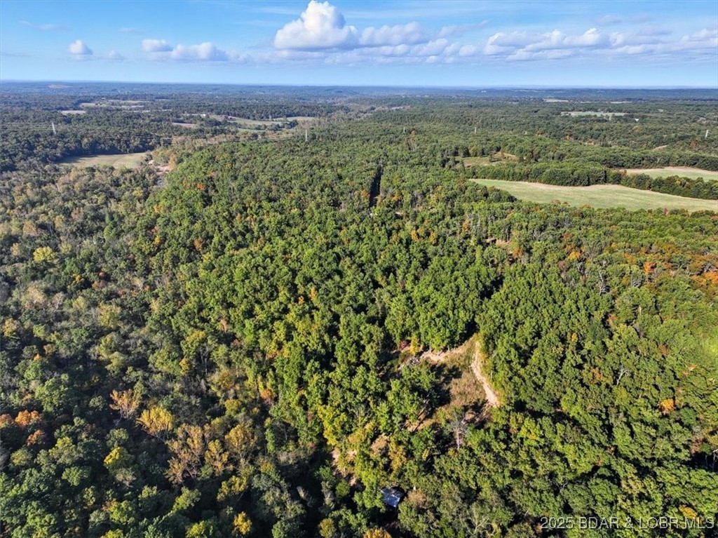 Tbd Ponder Slab Road Iberia, MO 65486 - Photo 18 of 18