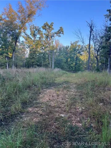 $199,000 | Tbd Ponder Slab Road, Iberia, MO 65486