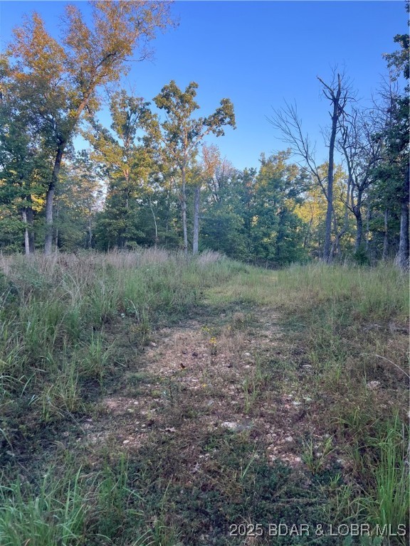 Tbd Ponder Slab Road Iberia, MO 65486 - Photo 4 of 18