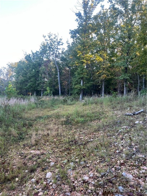 Tbd Ponder Slab Road Iberia, MO 65486 - Photo 6 of 18