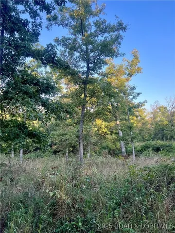 $199,000 | Tbd Ponder Slab Road, Iberia, MO 65486