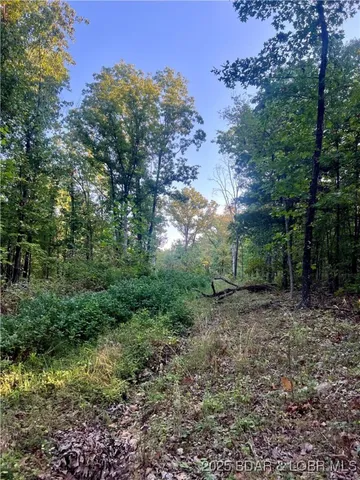 $199,000 | Tbd Ponder Slab Road, Iberia, MO 65486