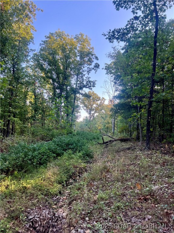 Tbd Ponder Slab Road Iberia, MO 65486 - Photo 8 of 18