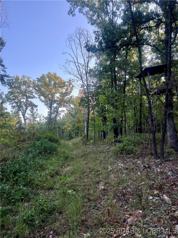 Tbd Ponder Slab Road Iberia, MO 65486 - Photo 9 of 18