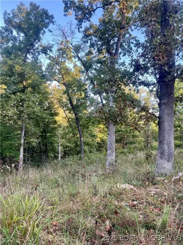 $199,000 | Tbd Ponder Slab Road, Iberia, MO 65486