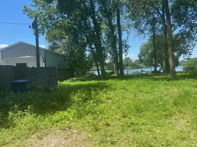 a view of a backyard with large trees