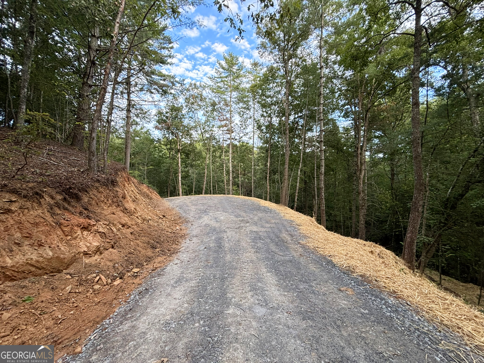 396 Mt Springer Road Ellijay, GA 30540 - Photo 30 of 50
