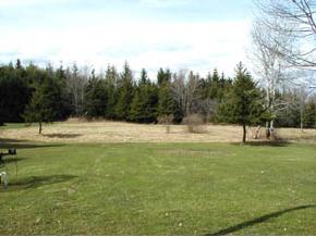 119 Emerson Road Castle Creek, NY 13744 - Photo 12 of 12 Gallery Image 12