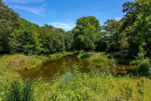 a view of a garden with a lake