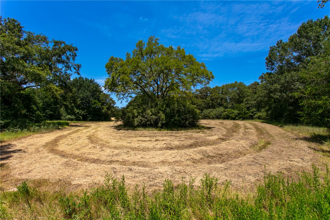 1755 Pleasant Hill Road Bryan, TX 77807 - Photo 13 of 28