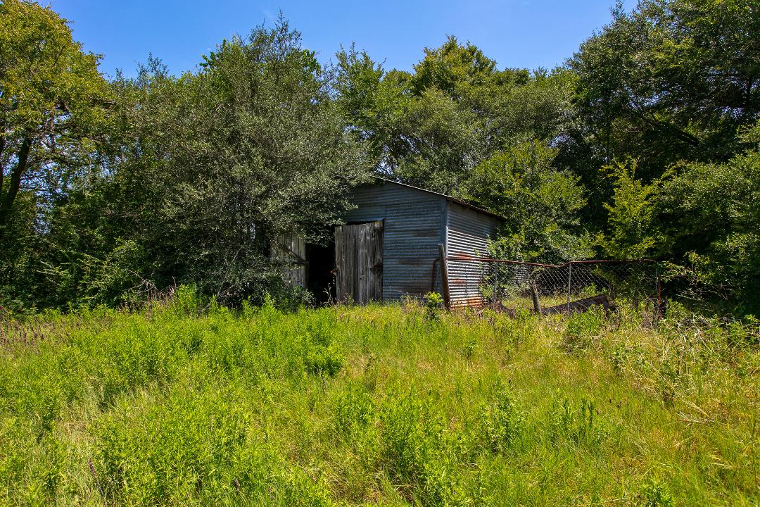 1755 Pleasant Hill Road Bryan, TX 77807 - Photo 14 of 28 a backyard of a house with plants and large tree