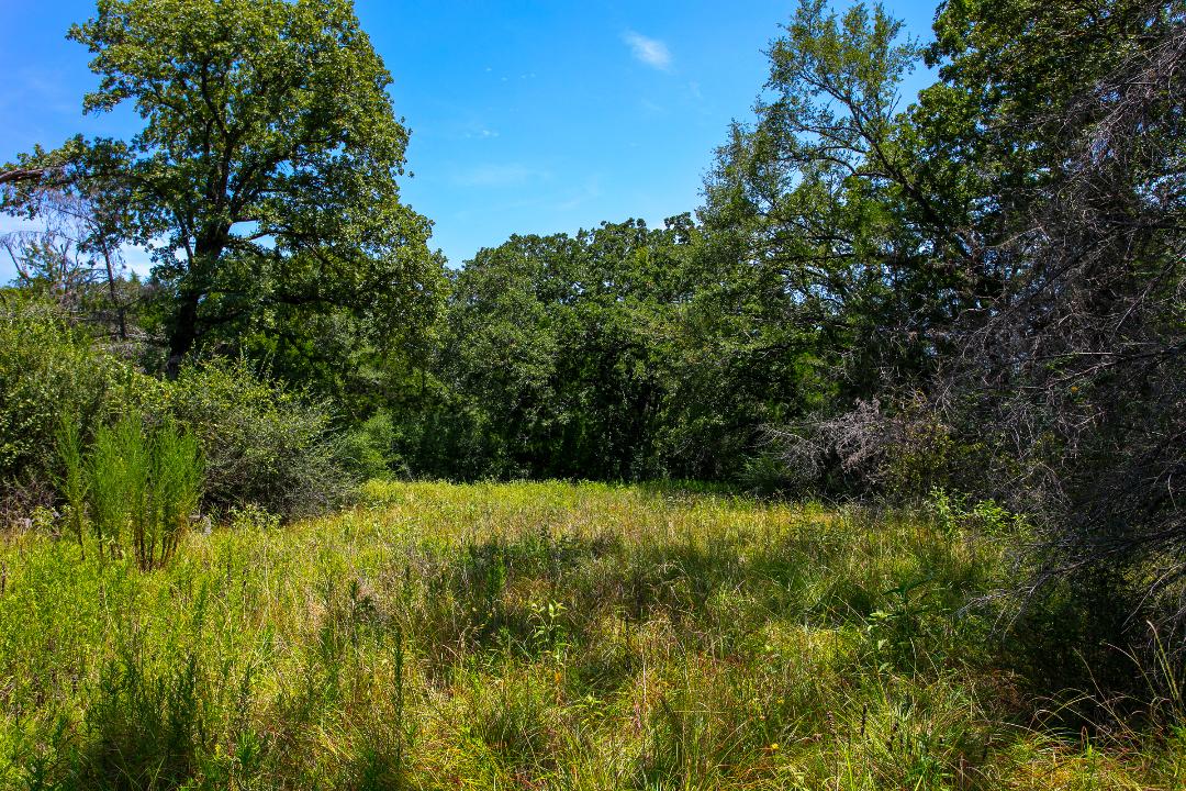 1755 Pleasant Hill Road Bryan, TX 77807 - Photo 15 of 28 a view of outdoor space and yard