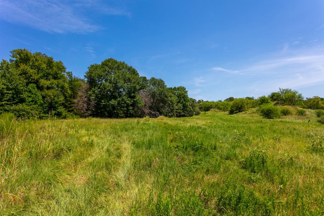 1755 Pleasant Hill Road Bryan, TX 77807 - Photo 16 of 28 a view of a green yard