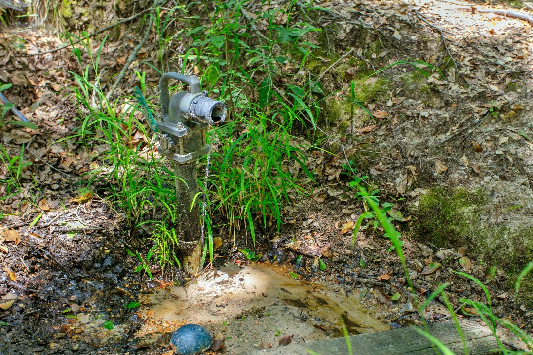 1755 Pleasant Hill Road Bryan, TX 77807 - Photo 19 of 28 a view of a tree in a yard