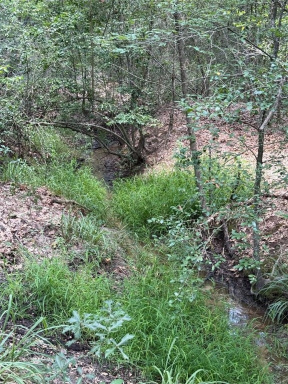 1755 Pleasant Hill Road Bryan, TX 77807 - Photo 24 of 28 a view of a forest with plants and large trees