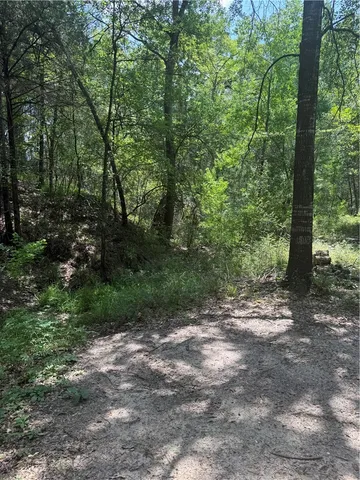a view of a golf course with a lake
